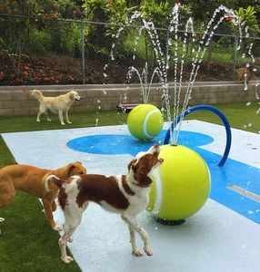 Spruzzatore d'Acqua per Palline da Tennis in Acciaio Inossidabile |   Funkzione Spray per Piscina per Animali Domestici |   Attrezzatura Professionale per Giochi d'Acqua in Piscina per Cani - Product Image 1