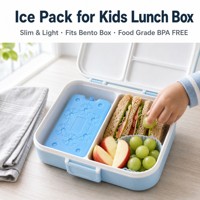 Brique de glace ultra-mince de 200 ml pour sacs isothermes, pack congélateur plat peu encombrant, s'adapte à toutes les glacières