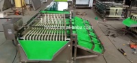 Dzjx Date Reinigings-En Sorteermachine Groente Citrusvruchten Wortel Kersen Sorteermachine Koffiekers Sorteermachine