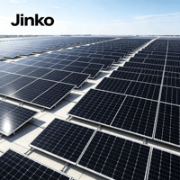 Panneaux solaires bifaciaux à double vitrage de type N Jinko JKM620N-66HL4M-BDV 610W 620W 630W pour systèmes solaires résidentiels