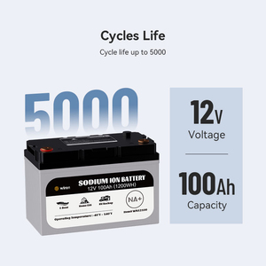 Batería de Iones de Sodio W12100 12V 100Ah (Cátodo de Óxido de Sodio) |   1200 Wh |   Temperatura Baja de -40°C |   6000 Ciclos |   20 kg |   Barco eléctrico/autocaravana/casa móvil - Product Image 2