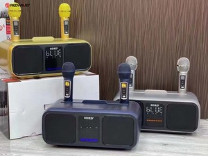 Loa Di Động Tốt Nhất Với Âm Trầm Micro Không Dây Kép Micro Di Động Có Loa Âm Thanh Lớn Karaoke Tất Cả Trong Một Với <span class=keywords><strong>TF</strong></span> - Product Image 4