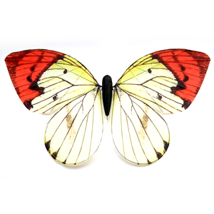 <span class=keywords><strong>Drone</strong></span> à ailes battantes bioniques, télécommandé, ailes légères, pour décoration de mariage, concert, éducation - Product Image 4