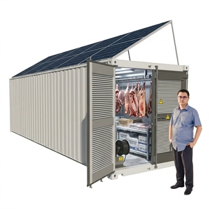 Chambre froide mobile conteneurisée à <span class=keywords><strong>prix</strong></span> <span class=keywords><strong>de</strong></span> gros pour la viande, les fruits et les légumes - Product Image 4