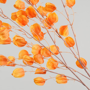 Bouquet de fleurs artificielles séchées Physalis Greenway, arrangement floral décoratif jaune automnal pour la maison et les fêtes - Product Image 4