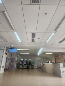 Pannello Acustico in Lana di Roccia per Soffitti, Resistente al Fuoco A2, Leggero e Insonorizzante per Costruzioni Commerciali Interne - Product Image 4