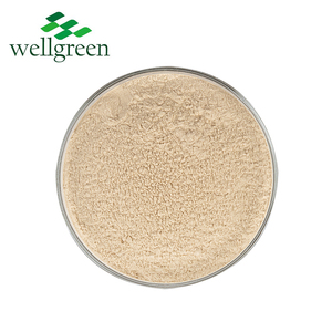 Bột Chiết Xuất Nhân Sâm Trung Quốc Loại Mỹ Phẩm Chiết Xuất Rễ Nhân Sâm Panax Ginsenosides 10:1 - Product Image 3