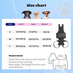 2025 <span class=keywords><strong>Dog</strong></span> Back Brace para perros Artritis <span class=keywords><strong>Protector</strong></span> de espalda Ayuda a aliviar el dolor Recuperación y rehabilitación quirúrgica - Product Image 4