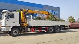 Camión grúa móvil Shacman F3000 10 T 4x2 Euro3, pluma hidráulica de 10 toneladas, capacidad de carga de 25 toneladas, buen precio para rodamiento de Motor - Product Image 3