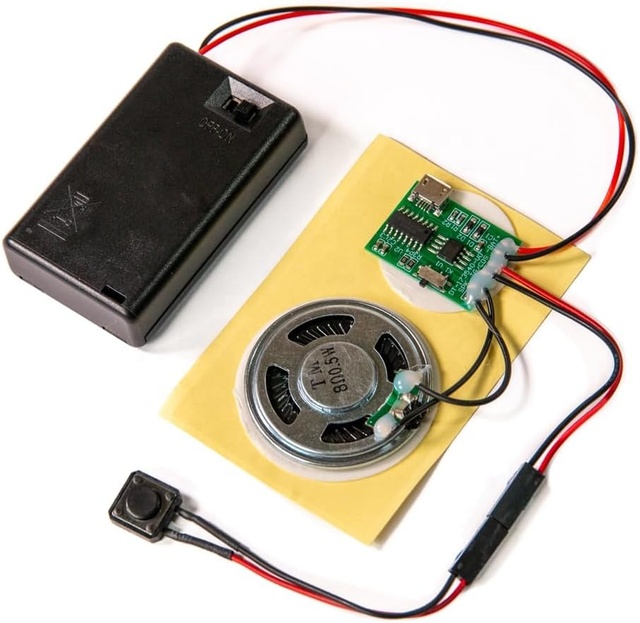 Talking Products MP3 Audio Chip Module 4MB Memory Create Your Own Personalized Gift Figure or Cosplay Accessory