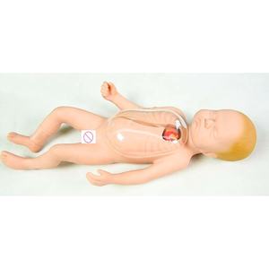 Modelo de treinamento perifério e veia central neonatal, picc para neonates - Product Image 1