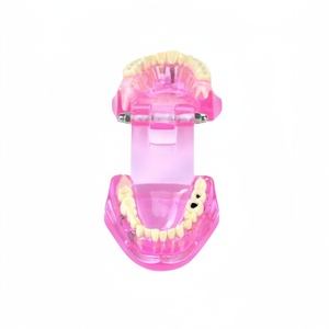 Protesi dentale, plastico dentale modello denti, restauro con impianto - Product Image 2