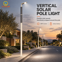 Lampadaire solaire semi-flexible moderne, étanche, à LED, pour routes, jardins et espaces publics