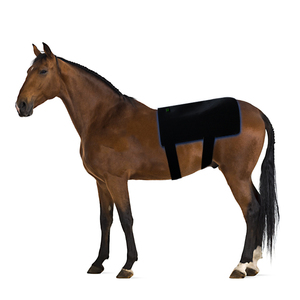 Taille personnalisée Longueur d'onde Portable 440nm 660nm 850nm Chevaux Thérapie équine Coussinets de thérapie par la lumière bleue pour le dos des chevaux - Product Image 1