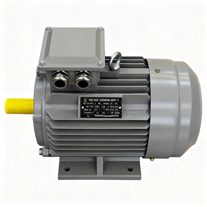 มอเตอร์ไฟฟ้าแบบอะซิงโครนัสสามเฟส AC รุ่น YE3-160L-6 IE3 แบบขาตั้ง 6 ขั้ว 380V 11 กิโลวัตต์ - Product Image 4