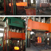 Wjh Non-magnetic Forged Shield Ring for Generator Systems