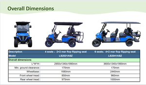 Voiturette de golf électrique 4 places, directement de l'usine, alimentée par batterie lithium 48V, pour parcours de golf et routes non publiques - Product Image 5