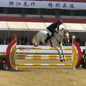 Canne Horse Show Jumping Wing Jump recinzione a ostacoli verticale con legno & costruzione in alluminio - Product Image 1