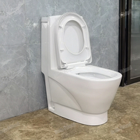 Ensemble WC monobloc en céramique pour salle de bain, design Dragon Doré, avec chasse d'eau, siphon en P et siphon en S
