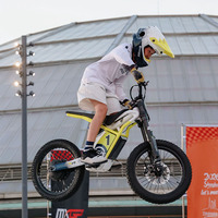 Moto électrique tout-terrain pour enfants, pneus de 20 pouces, cadre en alliage d'aluminium, freins à disque hydrauliques, adolescents et enfants de 8 à 12 ans, personnalisable OEM