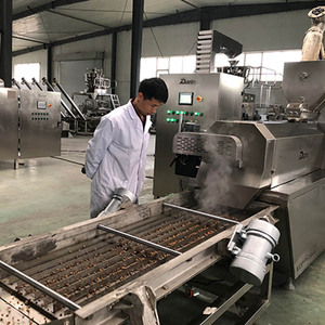 Máy làm thức ăn chăn nuôi - Máy ép thức ăn khô cho chó bằng thép không gỉ - Máy chế biến thức ăn cho thú cưng - Product Image 3