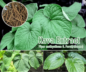 Экстракт корня кавы, 30% 70%, экстракт кавы - Product Image 3