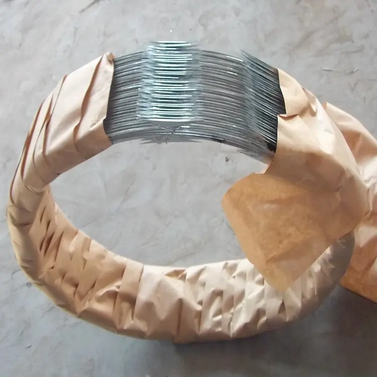Pemasangan kawat concertina/kawat cukur celup panas (Kawat berduri pisau cukur berduri) Filipina