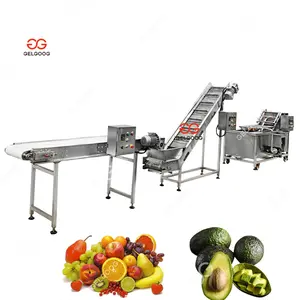 Automatic Strawberry Washing Drying Machine Avocado Sorting Machine With Washing Avocado Washing Machine