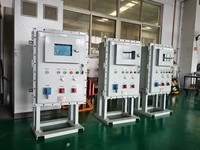 Caja de Control de Iluminación a Prueba de Explosiones IP66 Exdb IIB T4 Gb SS316 LD-BXD(M)99L, Gabinete Eléctrico Industrial RAL7035 en Polvo