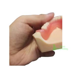 Personalizzazione dei denti del modello dentale disegno prototipazione rapida servizio elaborazione del materiale trasparente per il servizio meccanico - Product Image 4