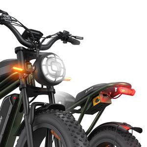 Vélo électrique tout-terrain 250W avec pneus larges de 20 pouces, batterie 48V 17Ah, vitesse 25km/h, freins à disque, livraison directe OEM depuis un entrepôt UE/Royaume-Uni - Product Image 4