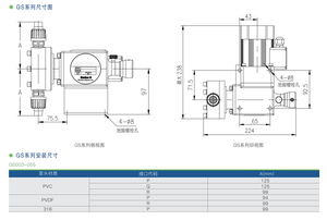 Bomba Dosificadora de Diafragma Mecánica CNF GS, Gran Caudal, Dosificación Química, Construcción en PTFE/Acero Inoxidable 316L, Personalizable OEM - Product Image 5