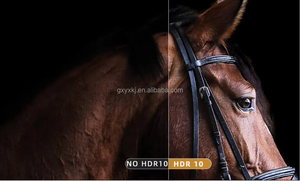 2025 New Xgimi Lune Pro Chiếu 3D 4K <span class=keywords><strong>Laser</strong></span> Chiếu <span class=keywords><strong>Mini</strong></span> 2600 ANSI 4K HD Xgimi <span class=keywords><strong>Laser</strong></span> Ust Máy Chiếu - Product Image 4