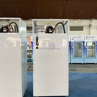 Congélateur à porte pleine inclinée pour l'extérieur à température unique Machine à glace de style stockage de glace en sac à refroidissement direct