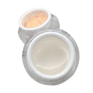 Hoge Kwaliteit Transparant Professionele Primer Gel Gezicht Poreless Gebaseerd Makeup Primer