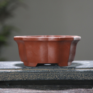 Maceta Octogonal de Arcilla Morada para Bonsái, Forma de Loto, Estilo Zen, Pequeña Maceta de Escritorio, Diseño Chino - Product Image 3