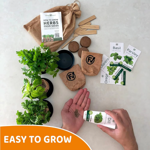 Kit de cultivo de inicio de hierbas para interiores hecho en EE. UU. 5 reliquia sin OGM perejil <span class=keywords><strong>eneldo</strong></span> orégano que incluye macetas tierra para té hierba <span class=keywords><strong>medicinal</strong></span> - Product Image 6