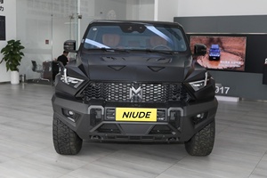 Accettiamo Ordini Personalizzati, Veicolo Elettrico Dongfeng <span class=keywords><strong>M</strong></span>-trrain 917 in Vendita in Russia, SUV 5 Porte 5 Posti, Accelerazione 100km/h - Product Image 3
