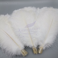 Plumes d'autruche blanches teintées en gros, 45-50 cm (18-20 po), pour fêtes, carnavals, bricolage et décoration de scène
