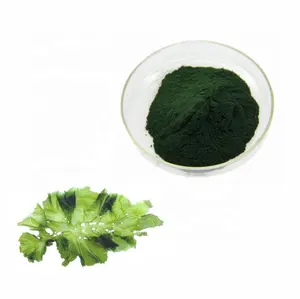 Green Seaweed Powder Ulva Lactuca Green Fine Powder for Anti-oxidants