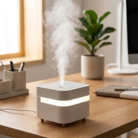 Diffuseur ultrasonique portable en plastique, best-seller d'usine, 450 ml, mini humidificateur rechargeable par USB avec batterie