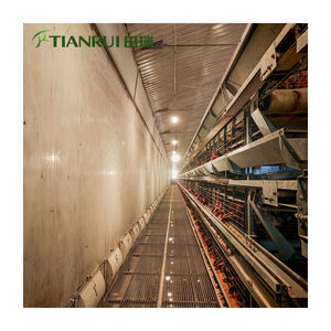 Kandang Ayam Otomatis Galvanis Tipe H untuk Peternakan Unggas, Dijual Murah - Product Image 6