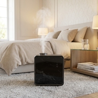Diffuseur d'arômes intelligent commercial en gros, machine de purification d'air par HVAC contrôlée par application