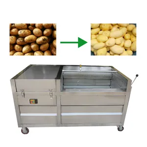 Công suất lớn Trái Cây Rau khoai tây làm sạch rửa và máy lột