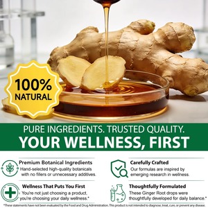 Extracto Líquido de Raíz de Jengibre de Máxima Absorción de Marca Privada para la Salud Intestinal, Suplemento Natural Antiinflamatorio, Suministro al por Mayor - Product Image 4