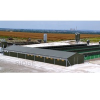 Maison de ferme porcine à structure en acier à construction rapide à longue portée/hangar à vaches/élevage de chèvres Q345 Grade entrepôt de soudage léger/coupe/pliage