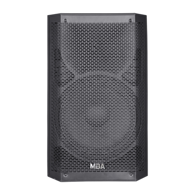 12 Inch Party Speaker, Portable Karaoke Speaker for Outdoor Singing with Microphone