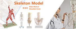 Simulador de Entrenamiento de Broncoscopio, Modelo de Árbol Bronquial Humano para Entrenamiento Médico Respiratorio - Product Image 5
