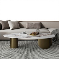 Table basse de style nordique moderne et minimaliste avec structure en acier inoxydable et plateau en pierre de forme ovale pour petits appartements