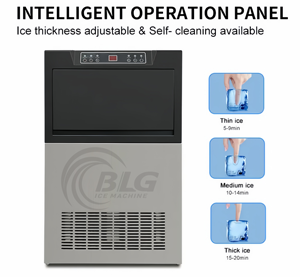 Máquina de Hielo BLG de Alta Producción 100kg/24h para Carnicería, Charcutería y Distribución de Alimentos - Product Image 5